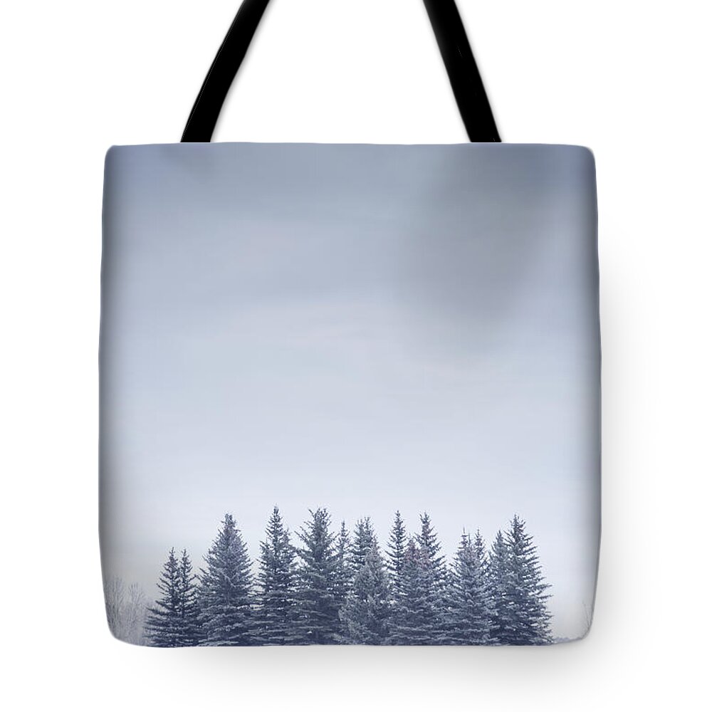 Kremsdorf Tote Bag featuring the photograph Winterscape by Evelina Kremsdorf