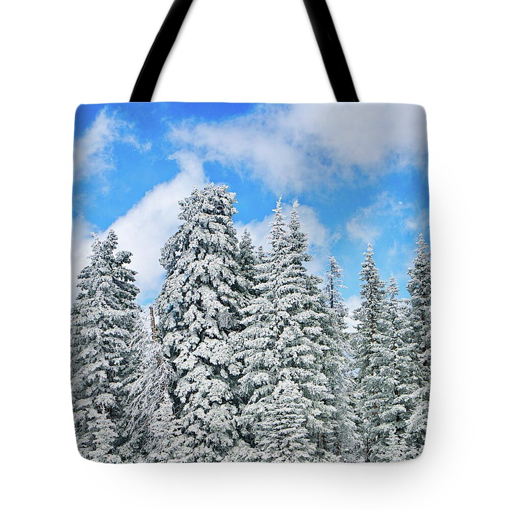 Winter Tote Bag featuring the photograph Winterscape by Jeffrey Kolker