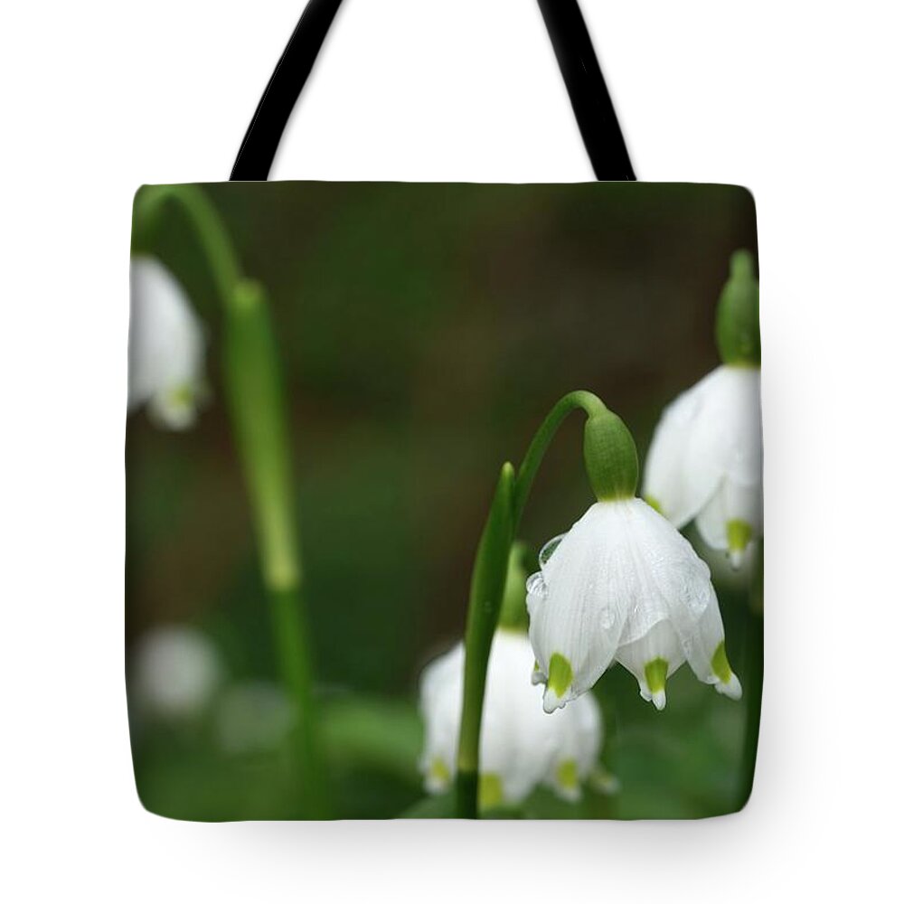Winterthur Tote Bag featuring the photograph Winterthur Gardens #111 by Raymond Magnani