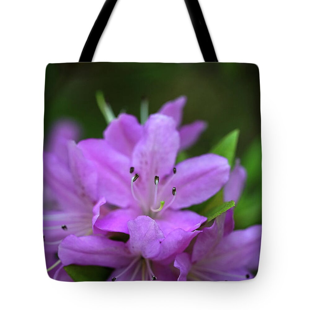 Winterthur Tote Bag featuring the photograph Winterthur Gardens #541 by Raymond Magnani