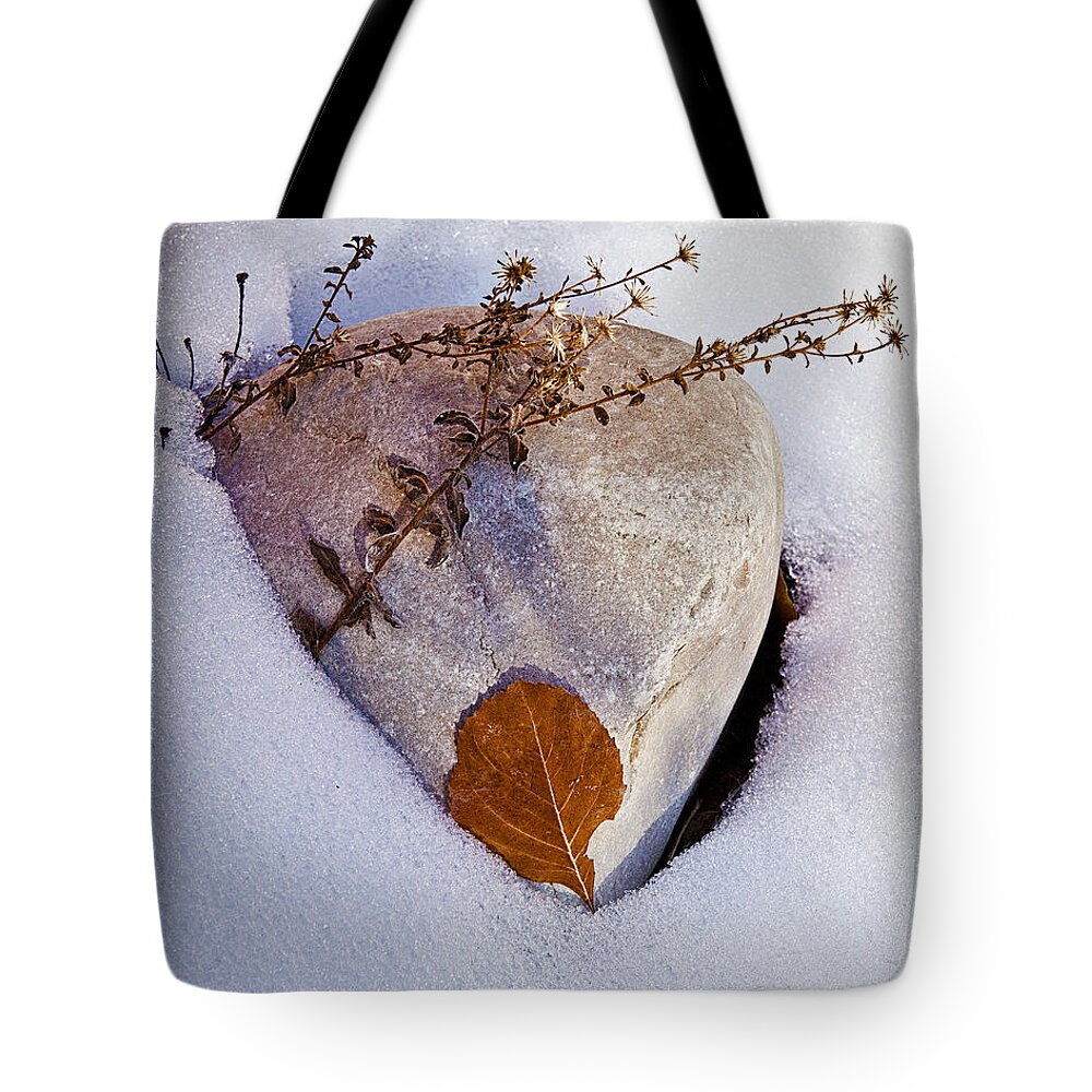 Rock Tote Bag featuring the photograph Wintery Still Life by Christopher Holmes