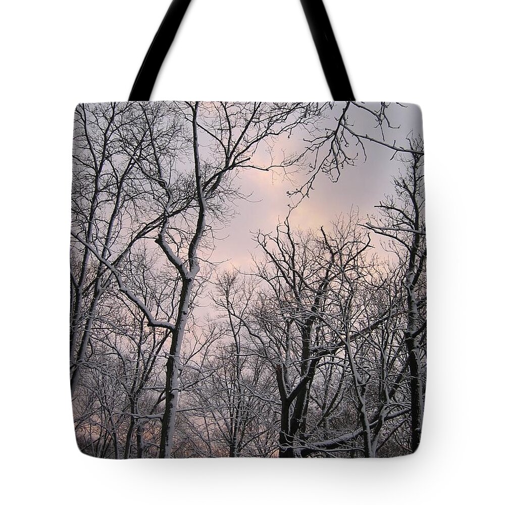 Winter Tote Bag featuring the photograph Wintry Dusk by Dylan Punke