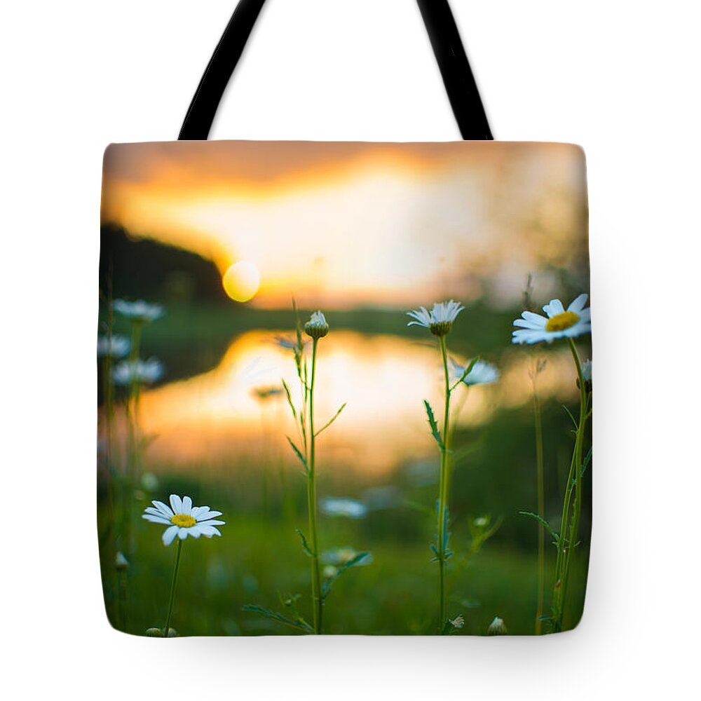 Wisconsin Tote Bag featuring the photograph Wisconsin Daisies at Sunset by Alex Blondeau