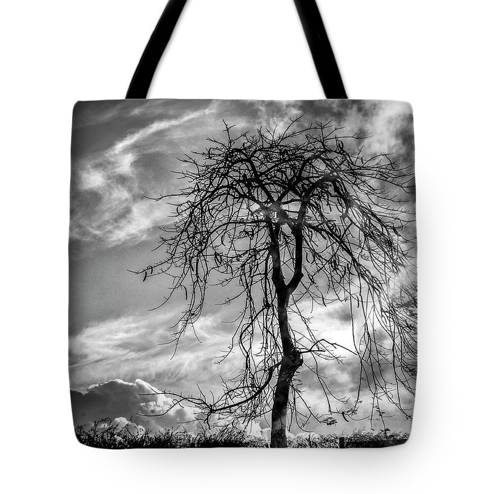  Tote Bag featuring the photograph Wisdom of Ages by Hugh Walker