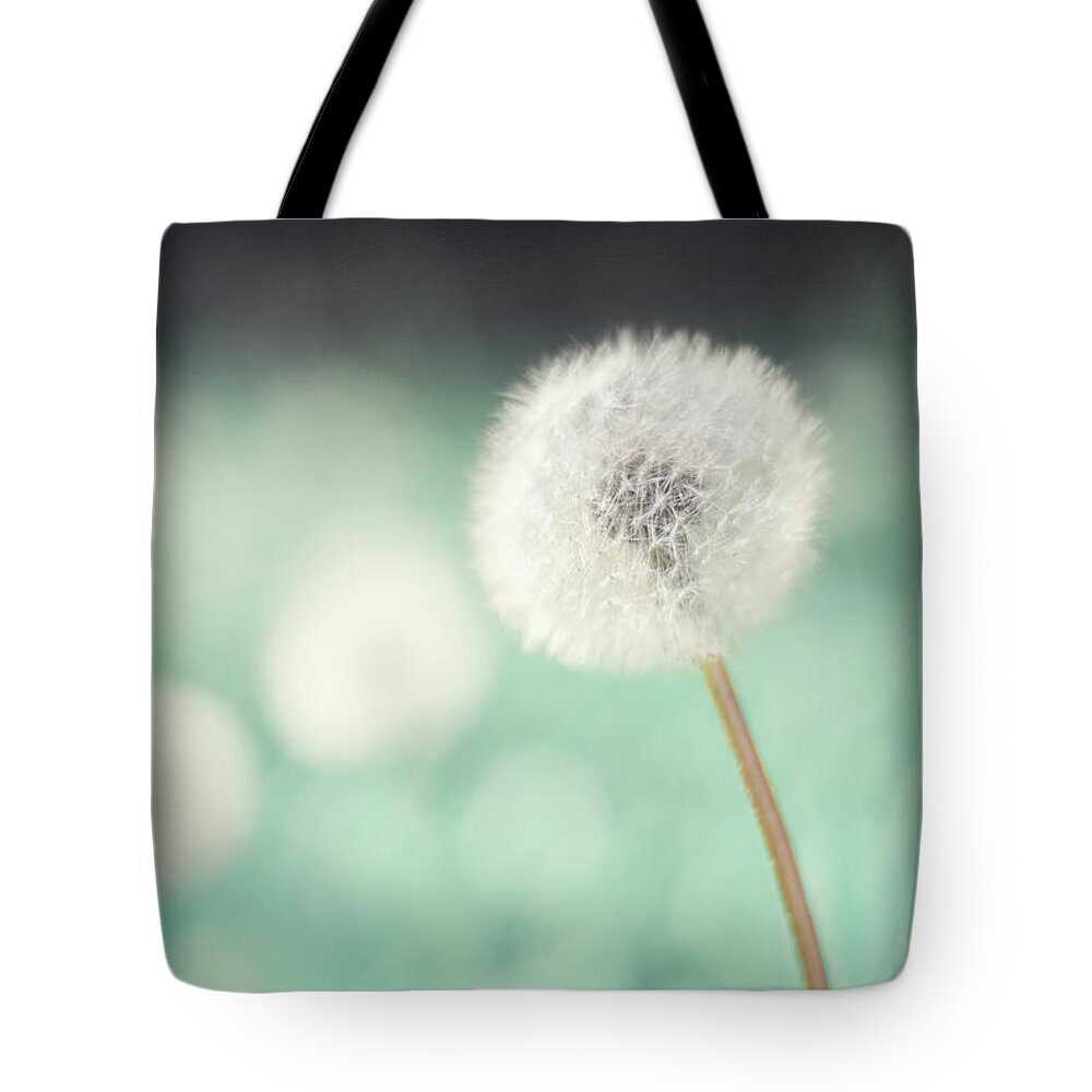 Aqua Tote Bag featuring the photograph Wish Come True by Amy Tyler