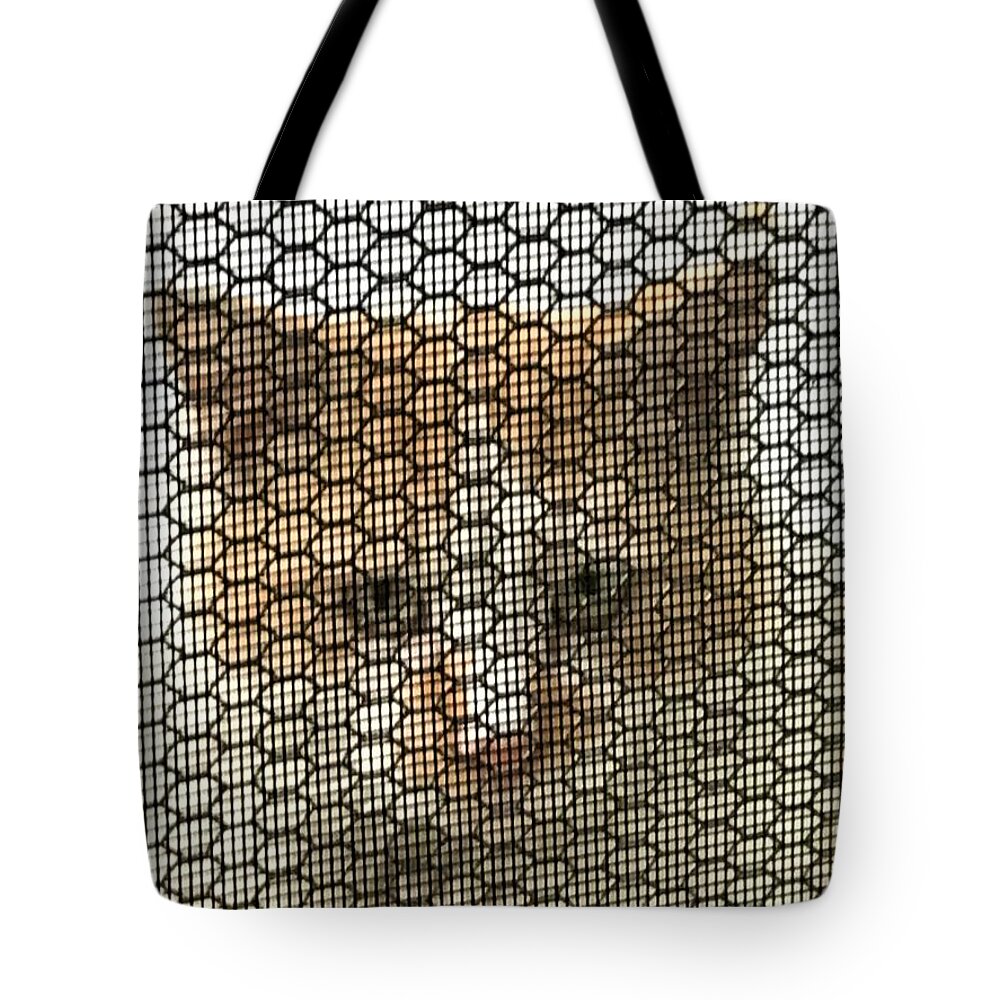 Cat Tote Bag featuring the photograph Wishful by Jan Gelders