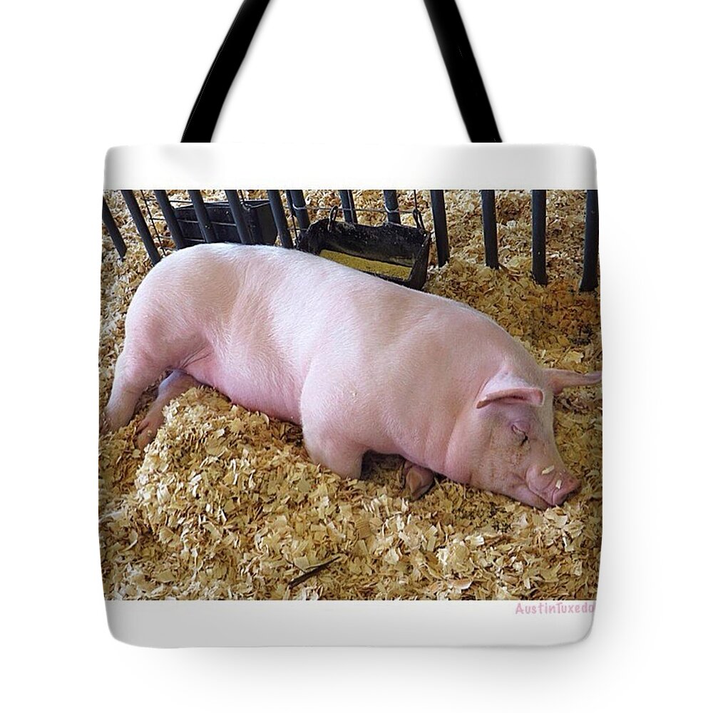 Sxsw Tote Bag featuring the photograph Wishing You #sweetdreams From by Austin Tuxedo Cat