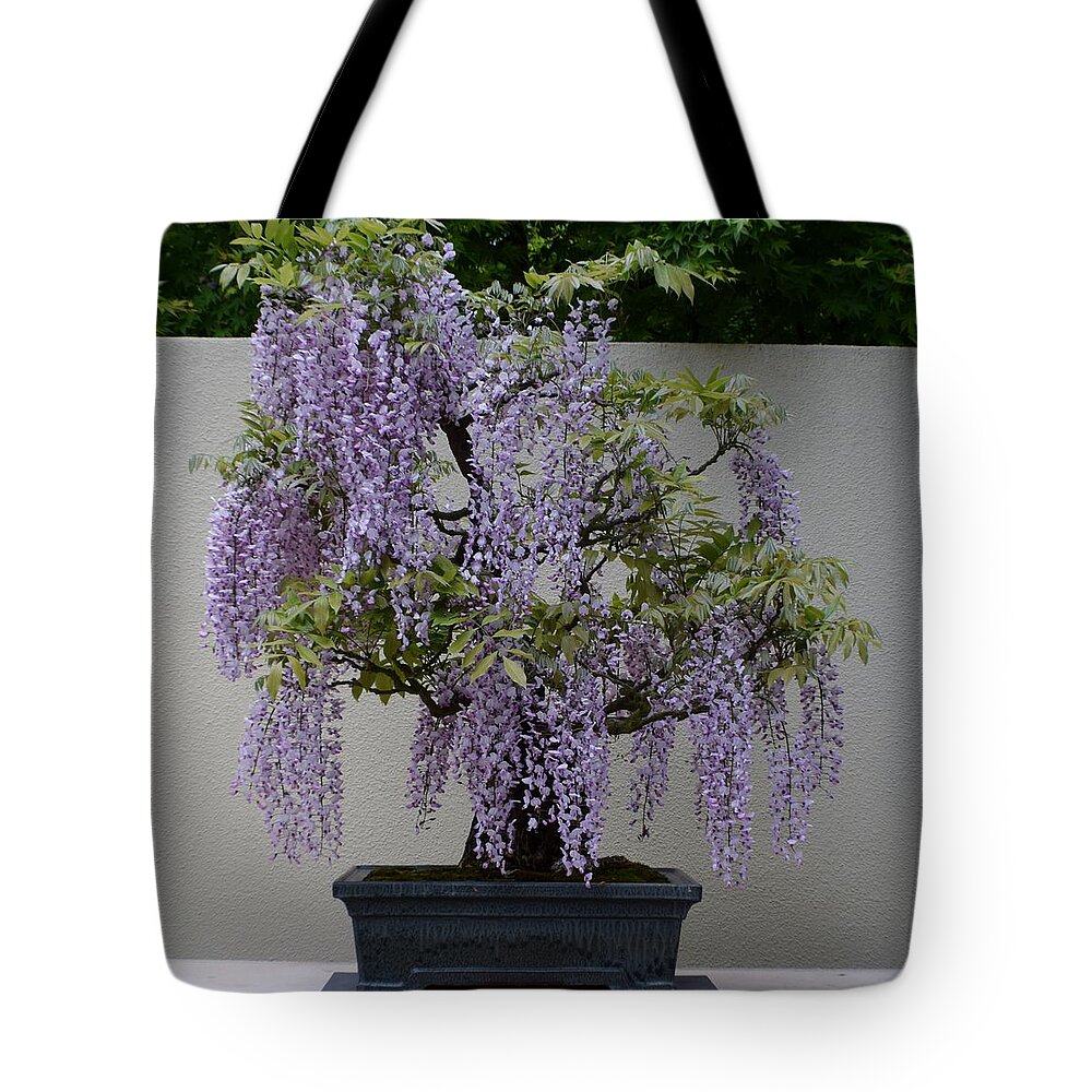 Wisteria Tote Bag featuring the photograph Wisteria Bonsai by Jimmy Chuck Smith