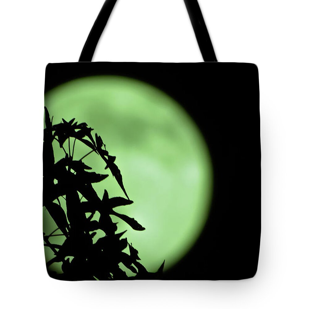Moon Tote Bag featuring the photograph Witching Hour by DigiArt Diaries by Vicky B Fuller