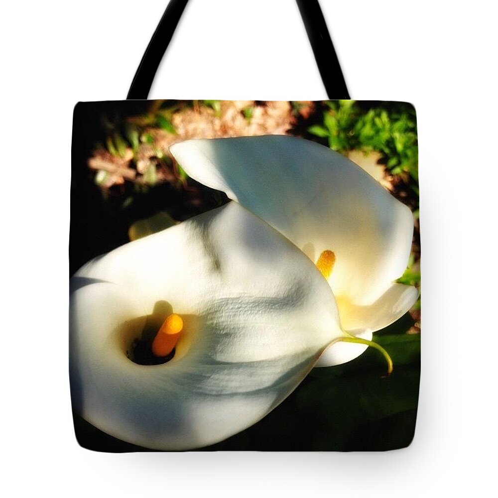 Bns_oregon Tote Bag featuring the photograph With Just A Tad Of Yellow For The by Anna Porter