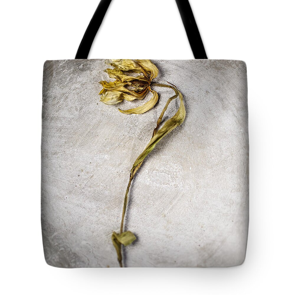 Tulip Tote Bag featuring the photograph Withered by Nailia Schwarz