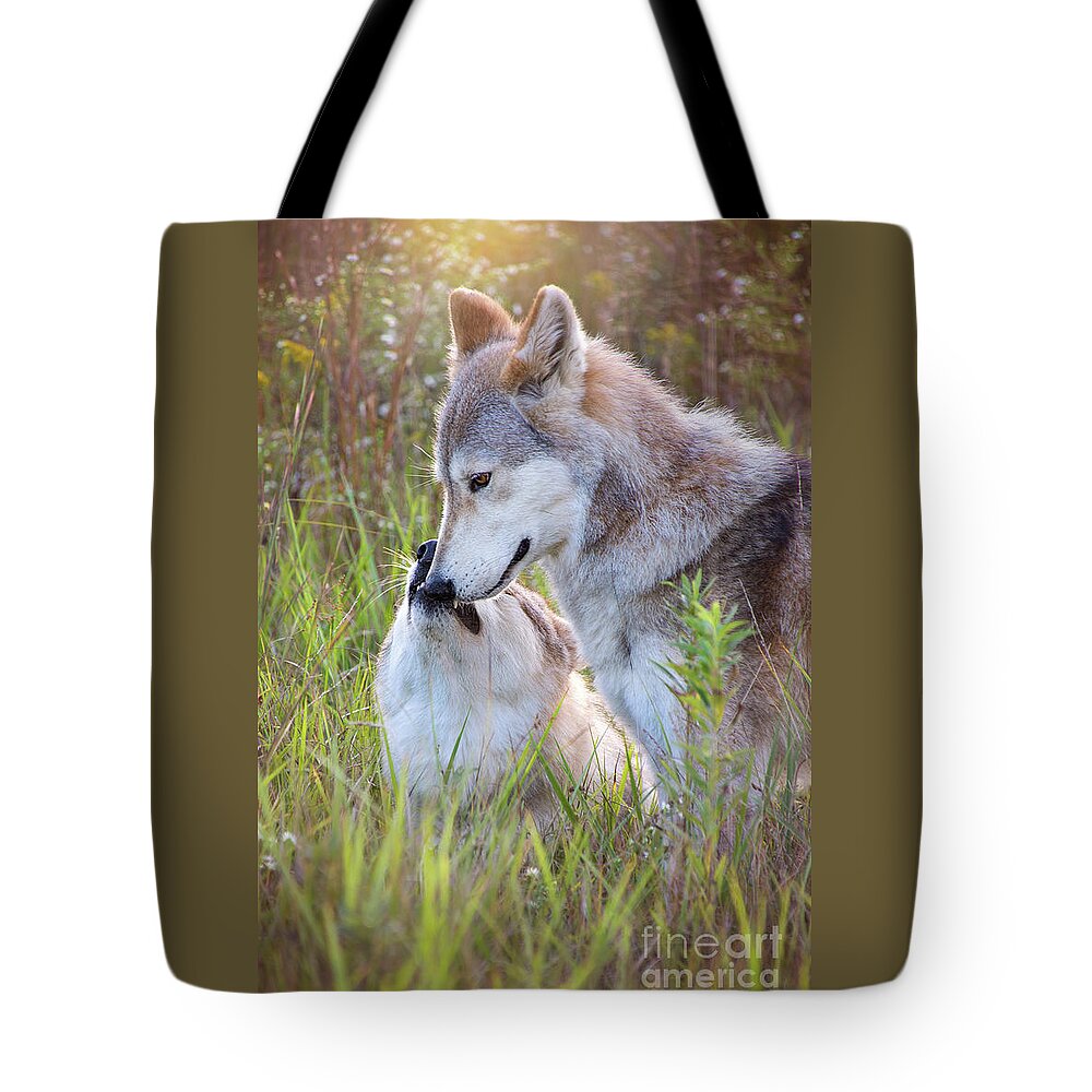 Canis Lupus Tote Bag featuring the photograph Wolf Soul Mates by Sharon McConnell