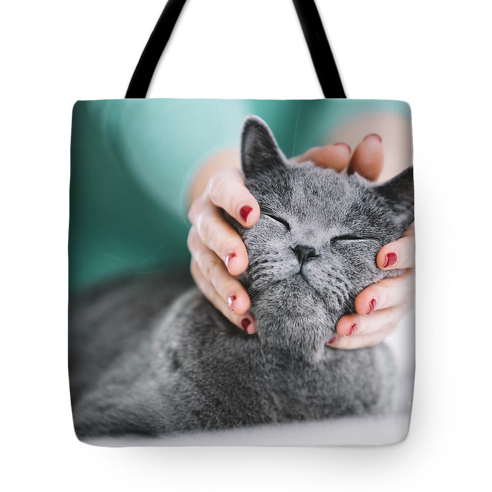 Cat Tote Bag featuring the photograph Woman holding cat's head, petting him. by Michal Bednarek