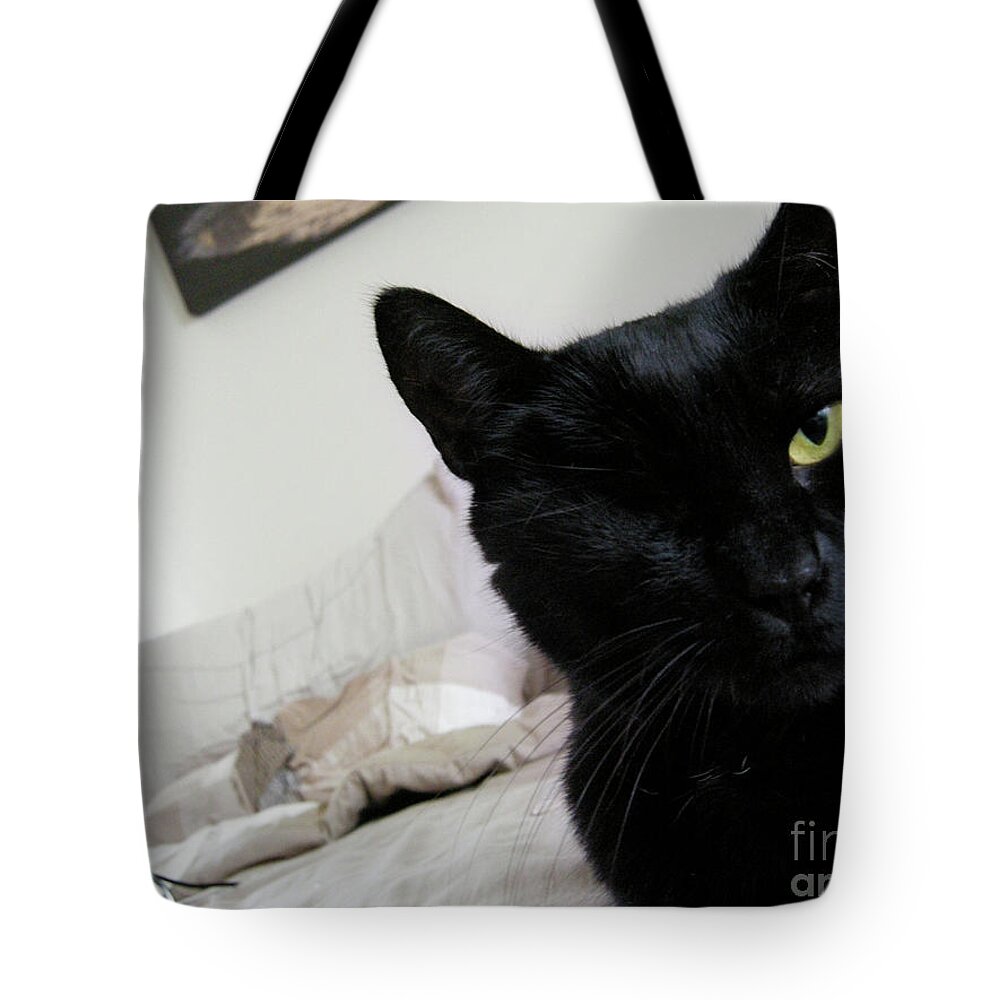 Cat Tote Bag featuring the photograph Won-Ton on Bed by Erica Freeman