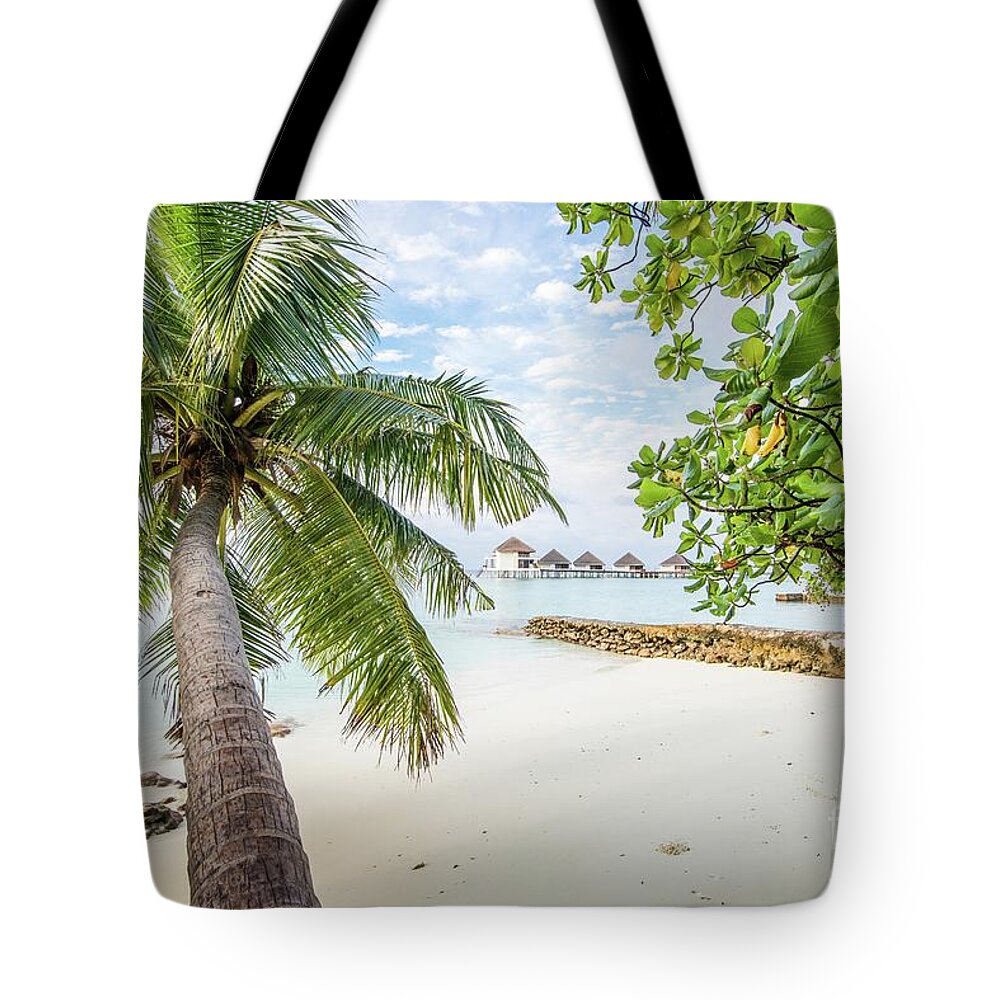 Background Tote Bag featuring the photograph Wonderful View by Hannes Cmarits