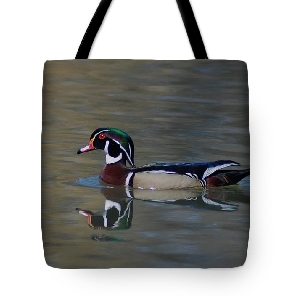 Duck Tote Bag featuring the photograph Wood Duck - Male by Ronald Grogan