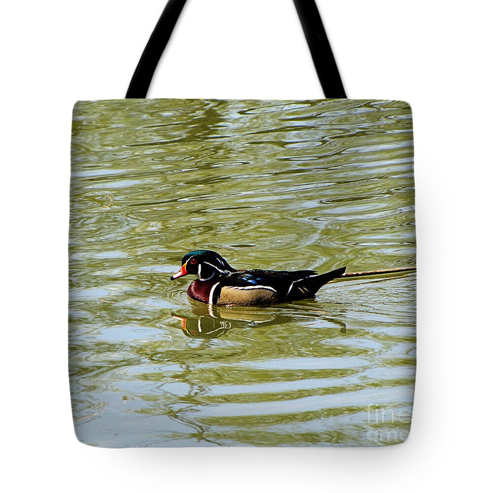 Wood Duck Tote Bag featuring the photograph Wood Duck by September Stone