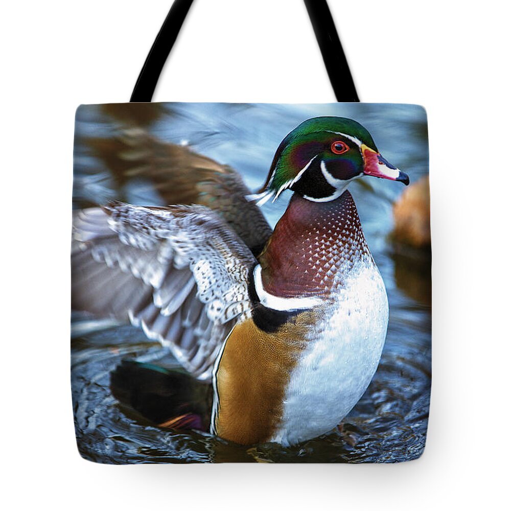 Wildlife Tote Bag featuring the photograph Wood Duck Flap by Bill and Linda Tiepelman