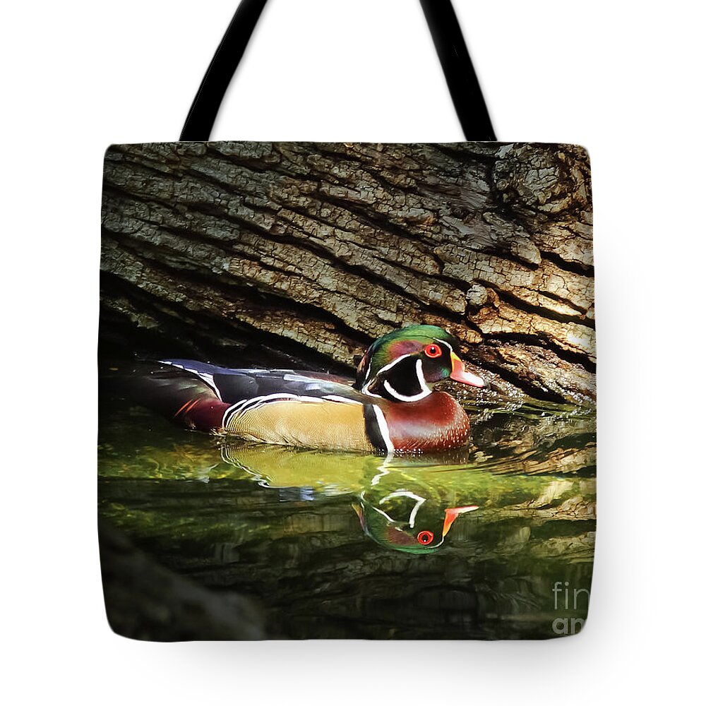 Animal Tote Bag featuring the photograph Wood Duck In Wood by Robert Frederick