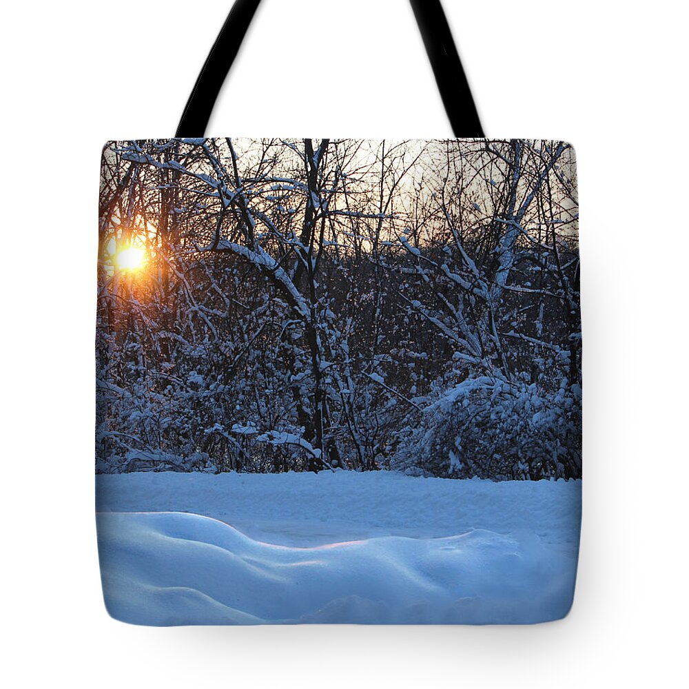 Wood Nymph In The Snow Tote Bag featuring the photograph Wood Nymph In The Snow by Kathy M Krause