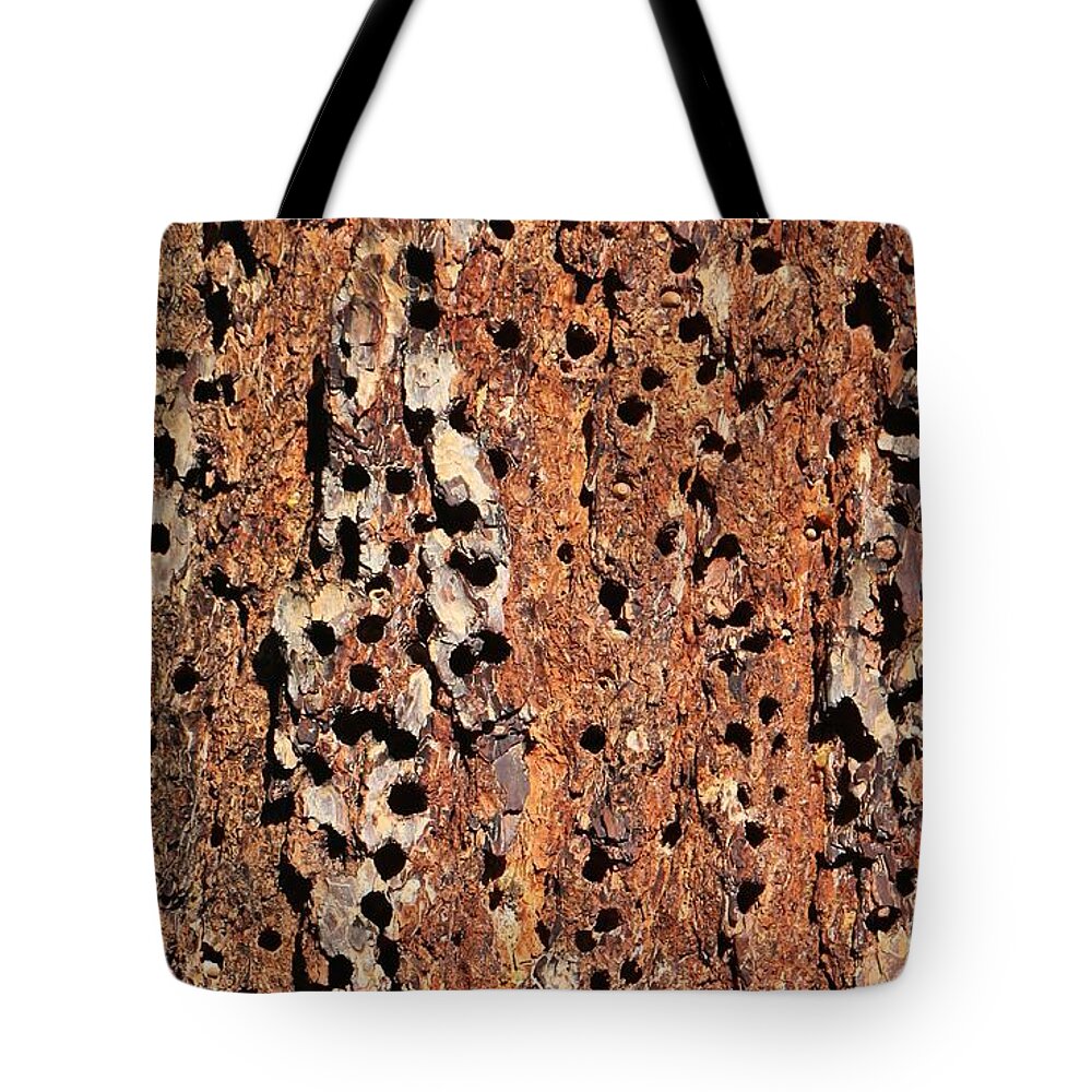 Wood Pecker Tote Bag featuring the photograph Wood Pecker Expressions by Christy Pooschke