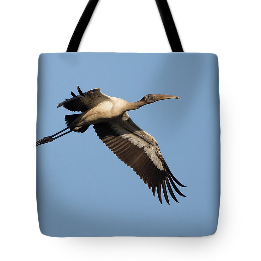 Florida Tote Bag featuring the photograph Wood Stork 1 by David F Hunter