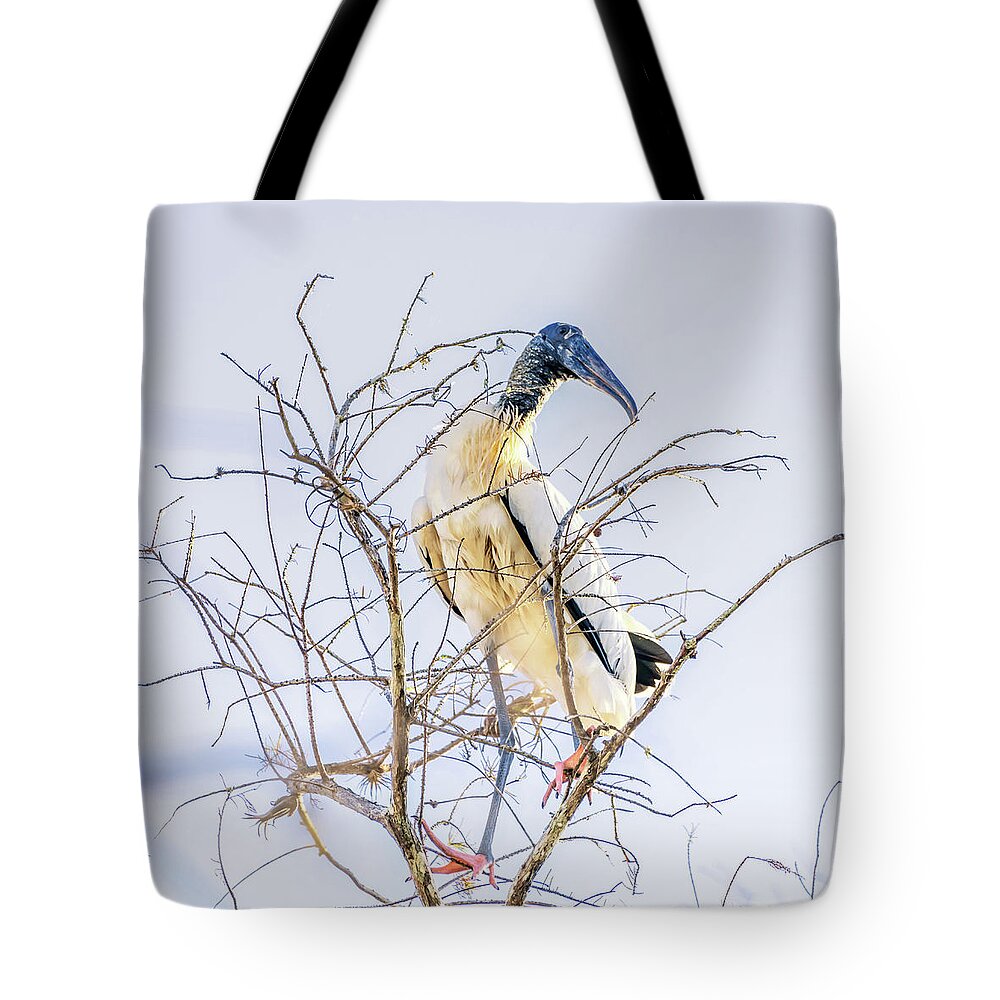 Florida Tote Bag featuring the photograph Wood Stork sitting in a tree by Framing Places