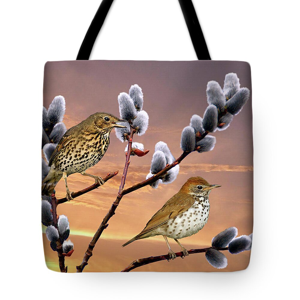 Songbird Tote Bag featuring the painting Wood Thrush and Pussy Willow Tree by M Spadecaller