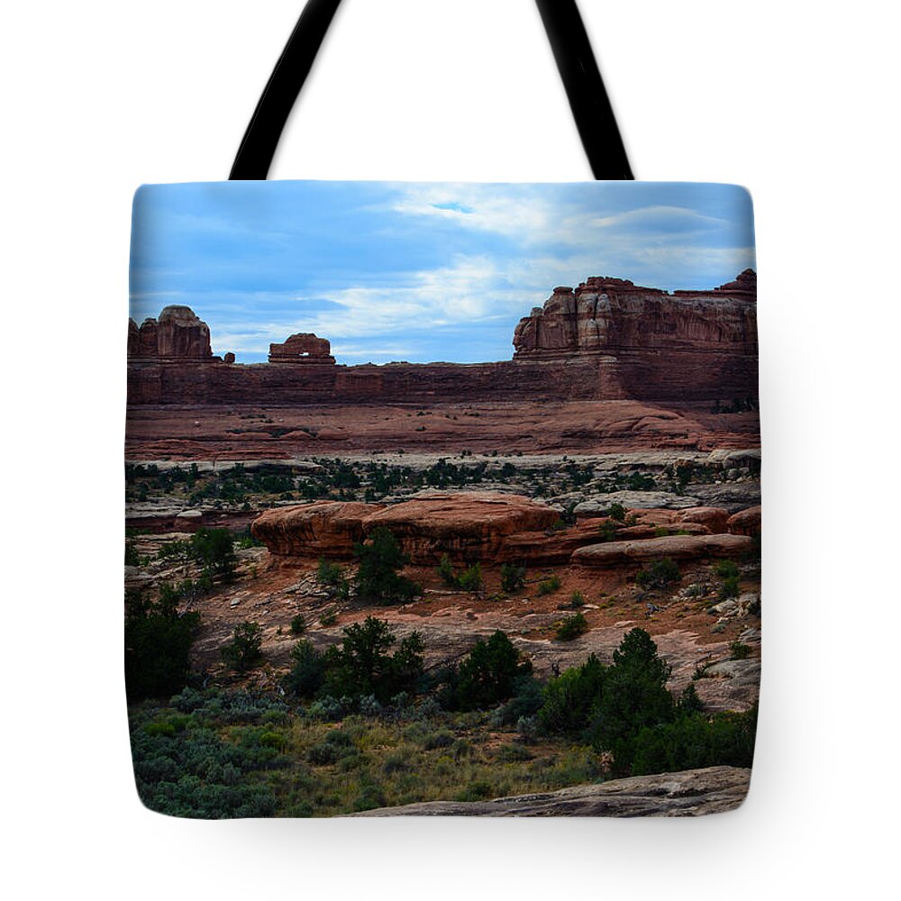 Landscape Tote Bag featuring the photograph Wooden Shoe Arch by Tikvah's Hope