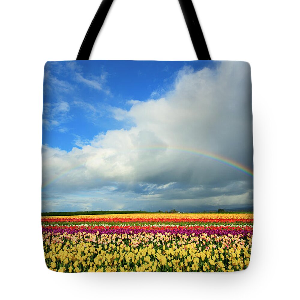 Rainbow Tote Bag featuring the photograph Wooden Shoe Rainbow by Patrick Campbell