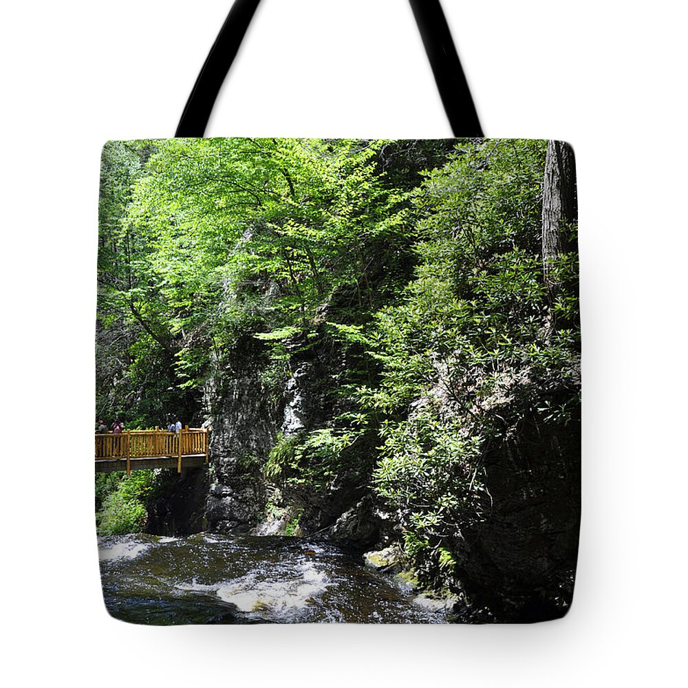 Wooden Trails Tote Bag featuring the photograph Wooden Trails - Two by Andrew Dinh