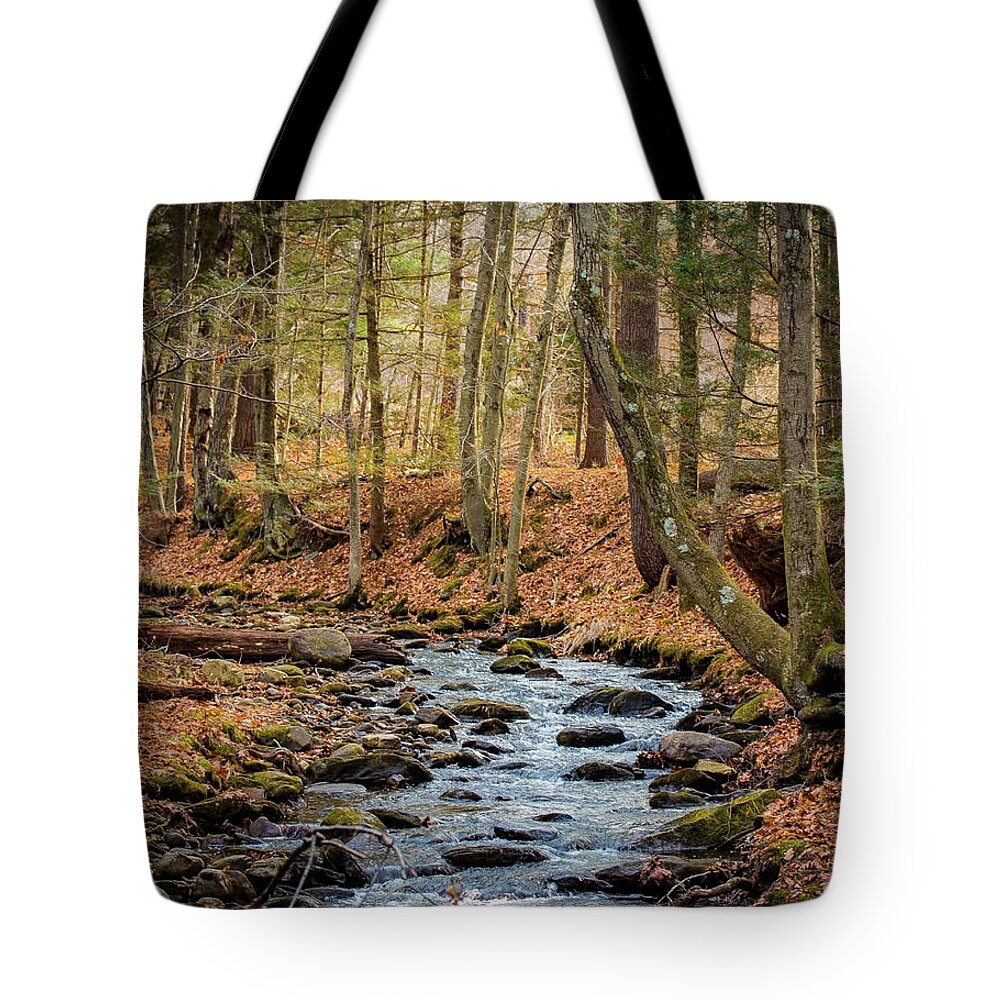 2015 Tote Bag featuring the photograph Woodland Brook by Richard Goldman