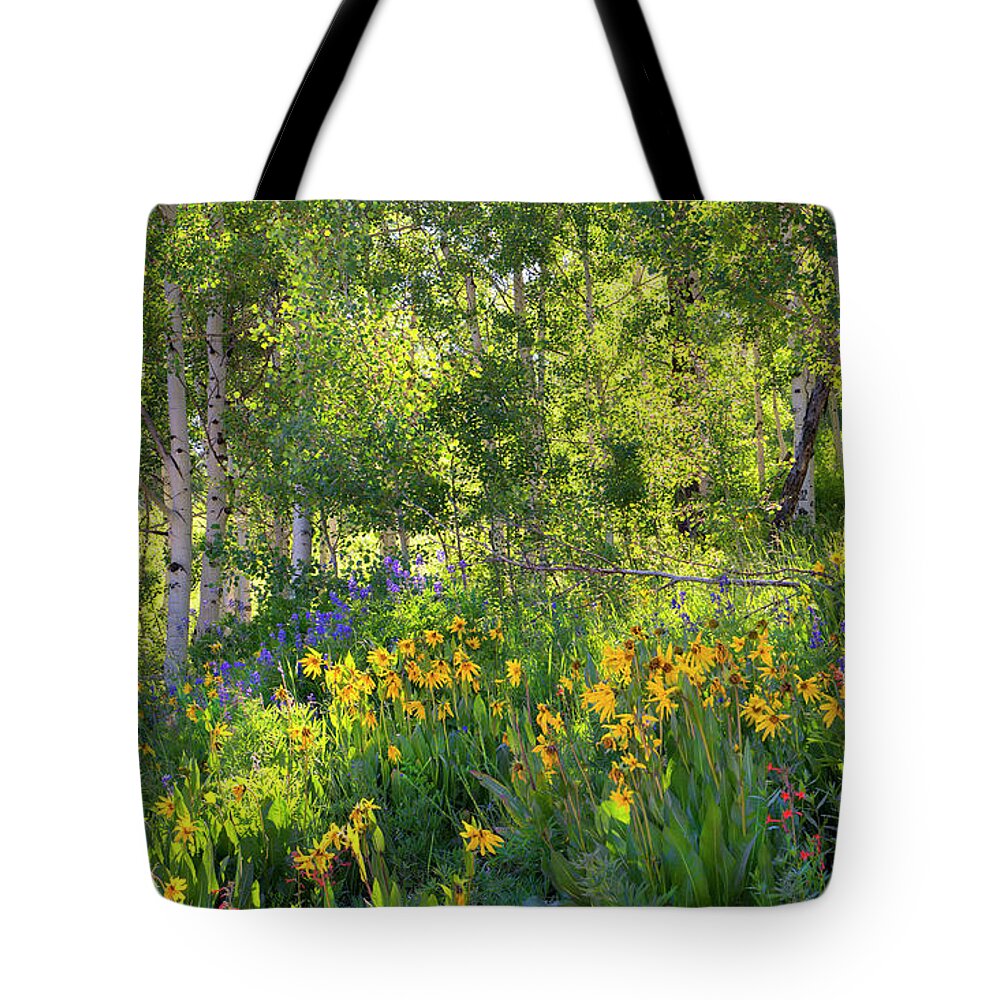 Wildflowers Tote Bag featuring the photograph Woodland Wildflowers by Tim Reaves