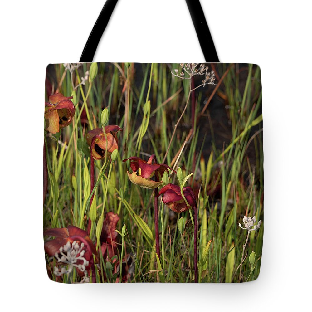 Grass Tote Bag featuring the photograph Woodlands NJ-Webb-Mills-Bog by Louis Dallara
