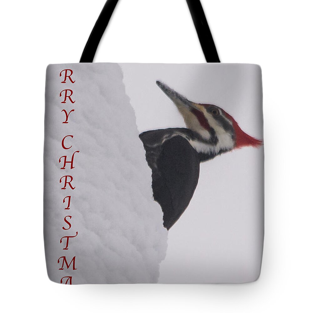 Pileated Woodpecker Tote Bag featuring the photograph Woodpecker Christmas by Holden The Moment