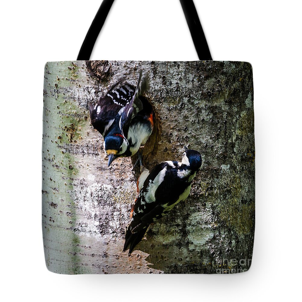 Mr And Mrs Woodpecker Tote Bag featuring the photograph Woodpeckers by Torbjorn Swenelius