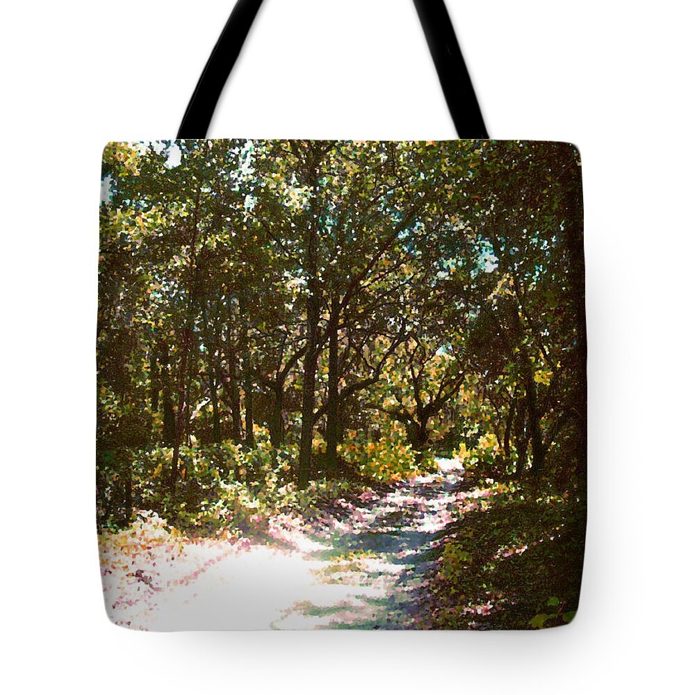 Trail Tote Bag featuring the photograph Woodsy Trail by Ginny Schmidt