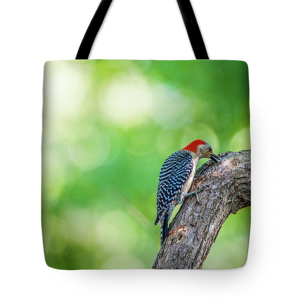 Bird Tote Bag featuring the photograph Woody by Cathy Kovarik