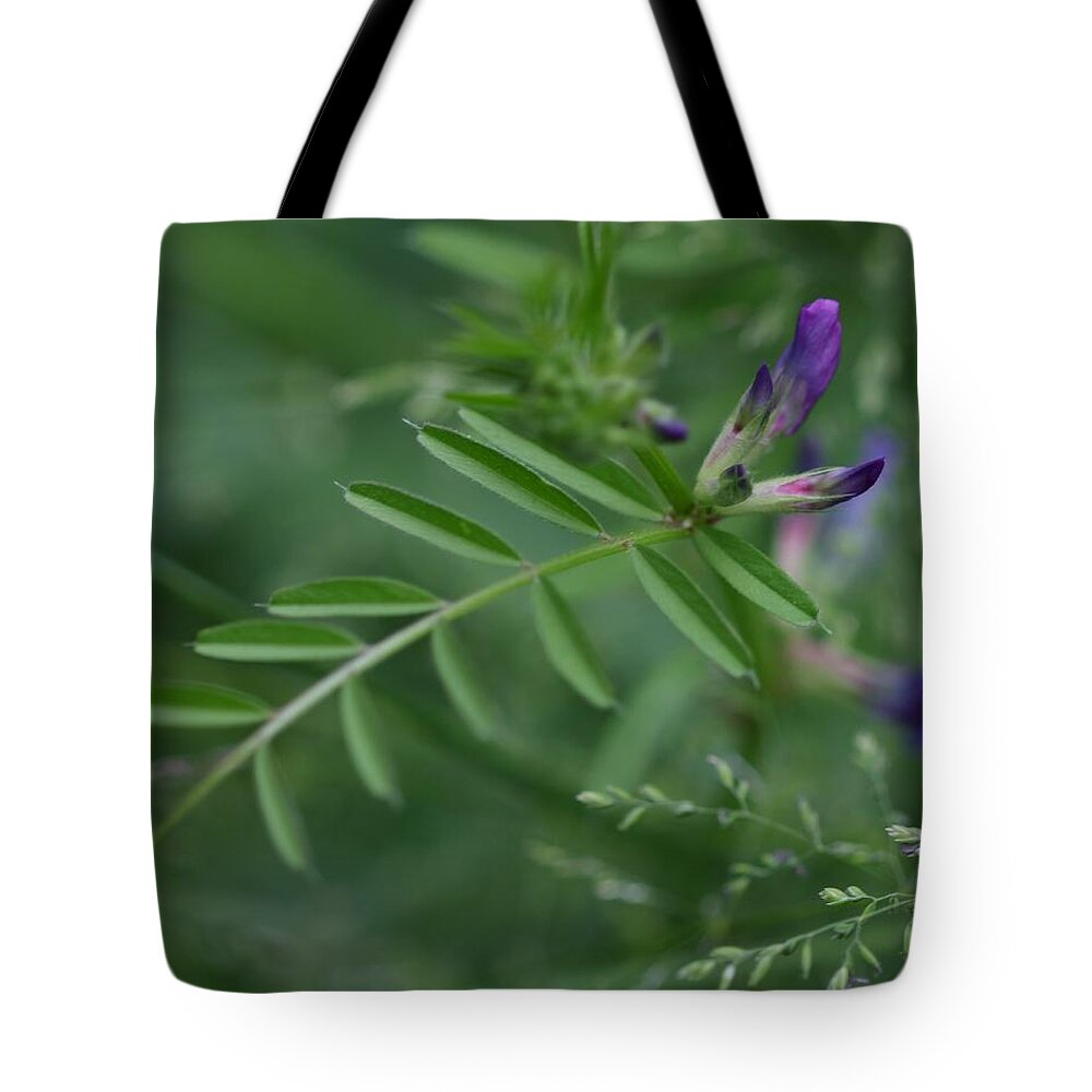 Woolly Vetch Tote Bag featuring the photograph Woolly Vetch In Spring by I'ina Van Lawick