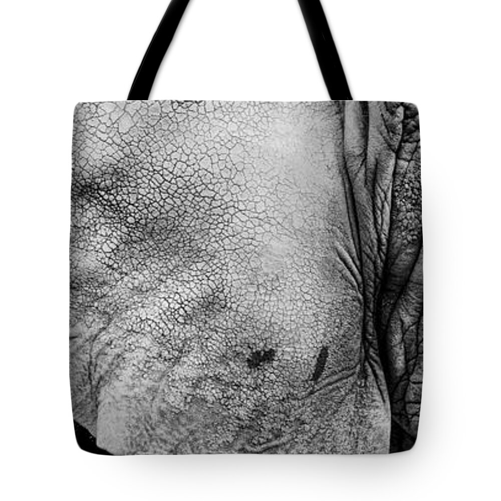 Portrait Tote Bag featuring the photograph Wrinkles by Joye Ardyn Durham