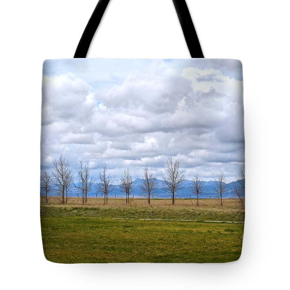 Wyoming Tote Bag featuring the photograph Wyoming-Dwyer Junction by Cindy Schneider