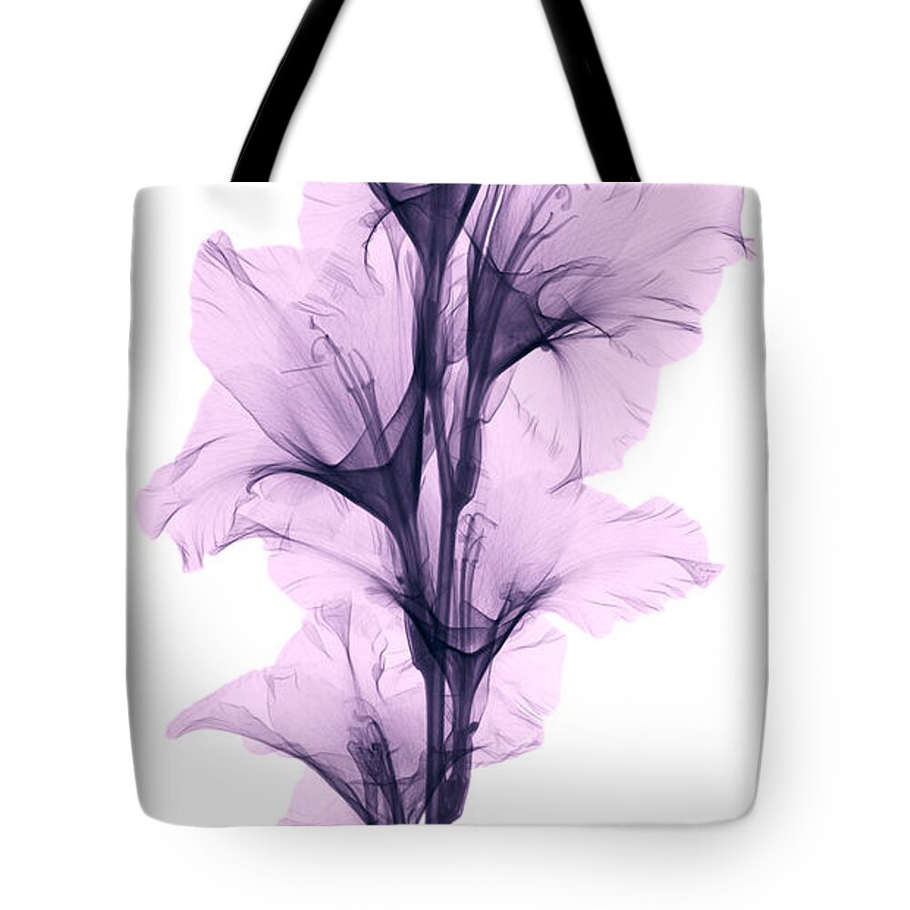 Xray Tote Bag featuring the photograph X-ray Of A Gladiola Flower by Ted Kinsman