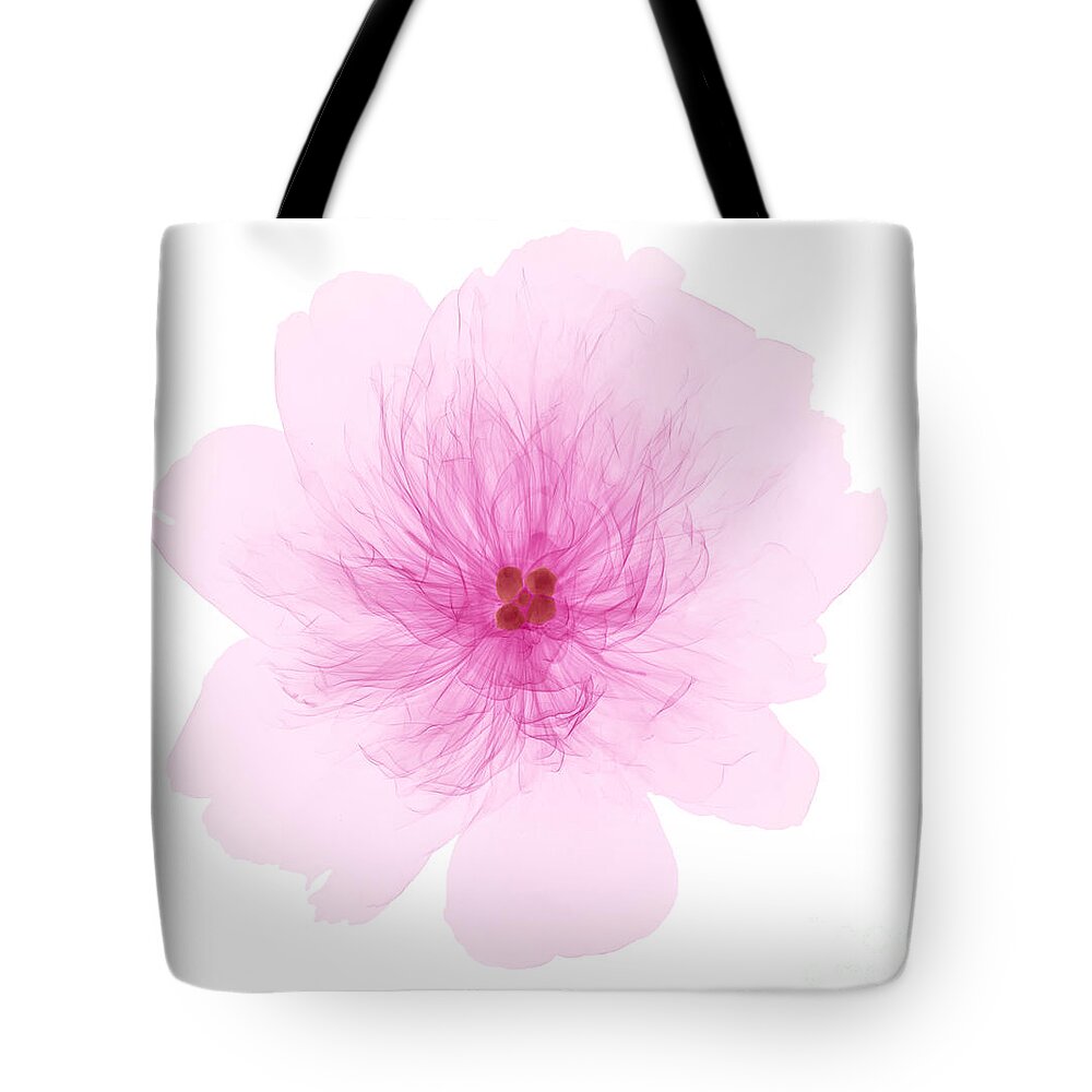 Xray Tote Bag featuring the photograph X-ray Of Peony Flower by Ted Kinsman