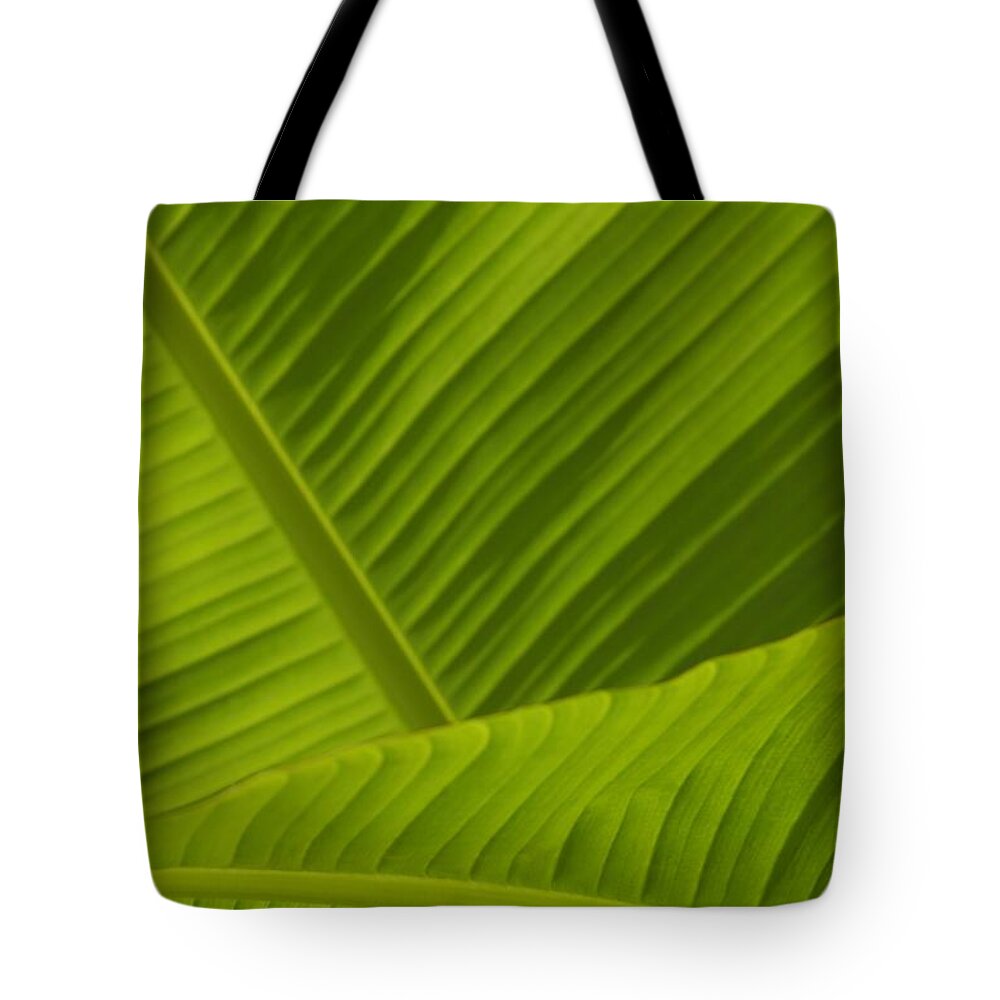 Fan Tote Bag featuring the photograph Fan Of Green 4 by Wendy Wilton