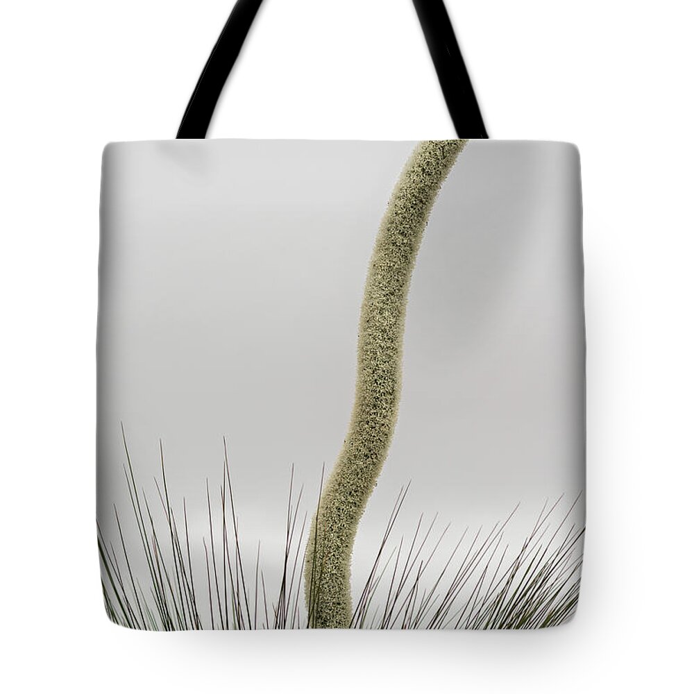Flora Tote Bag featuring the photograph Xanthorrhoea 01 by Werner Padarin