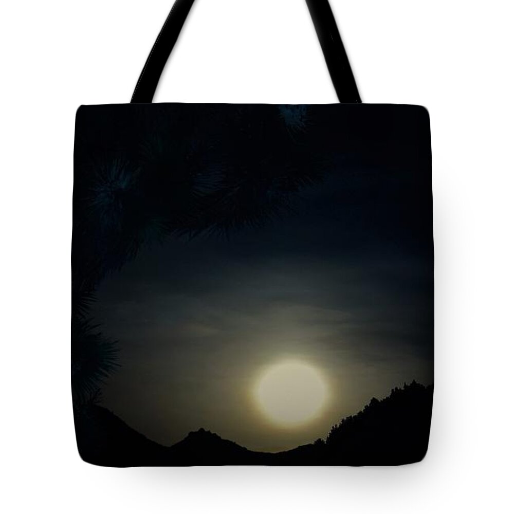 Yucca Valley California Tote Bag featuring the photograph Y Town My Town by Angela J Wright