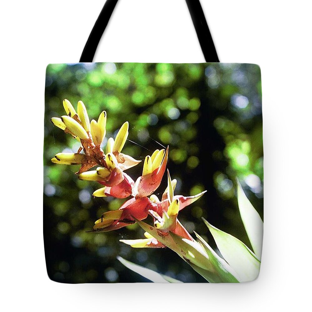Flower Tote Bag featuring the photograph Yado by David Bader