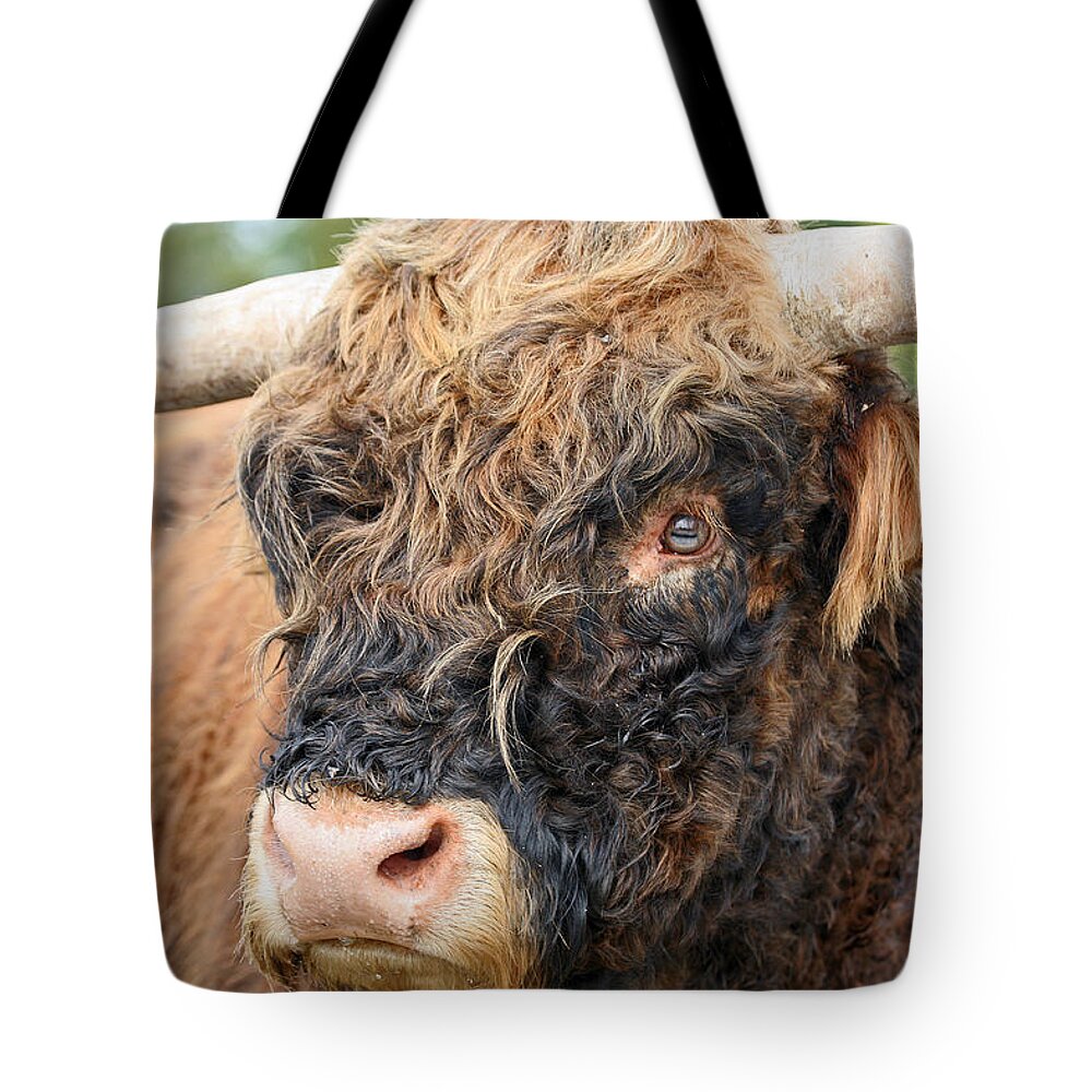 Yak Tote Bag featuring the photograph Yakity Yak by Karol Livote