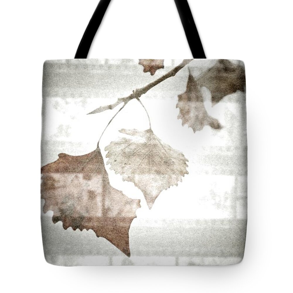 Leaf Tote Bag featuring the photograph Years Ago by Mark Ross