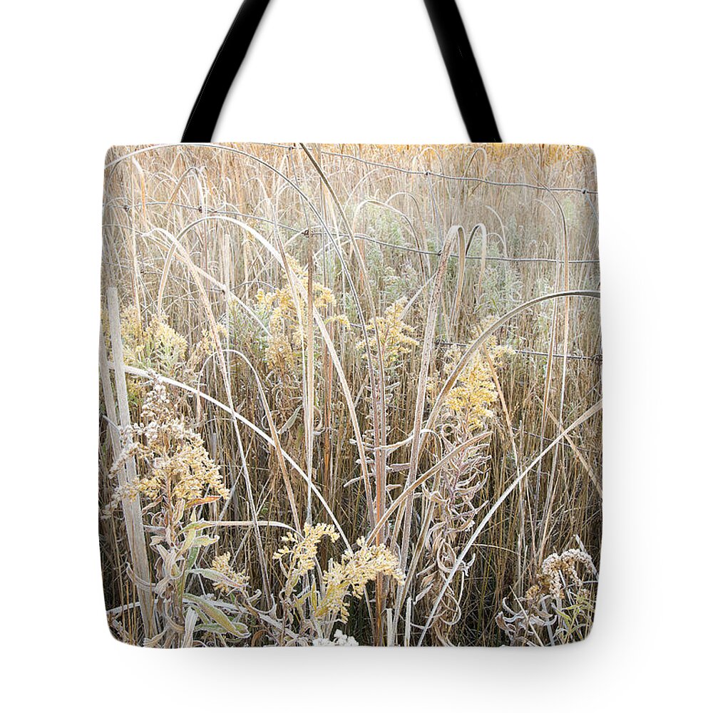 Canada Tote Bag featuring the photograph Yellow  by Doug Gibbons